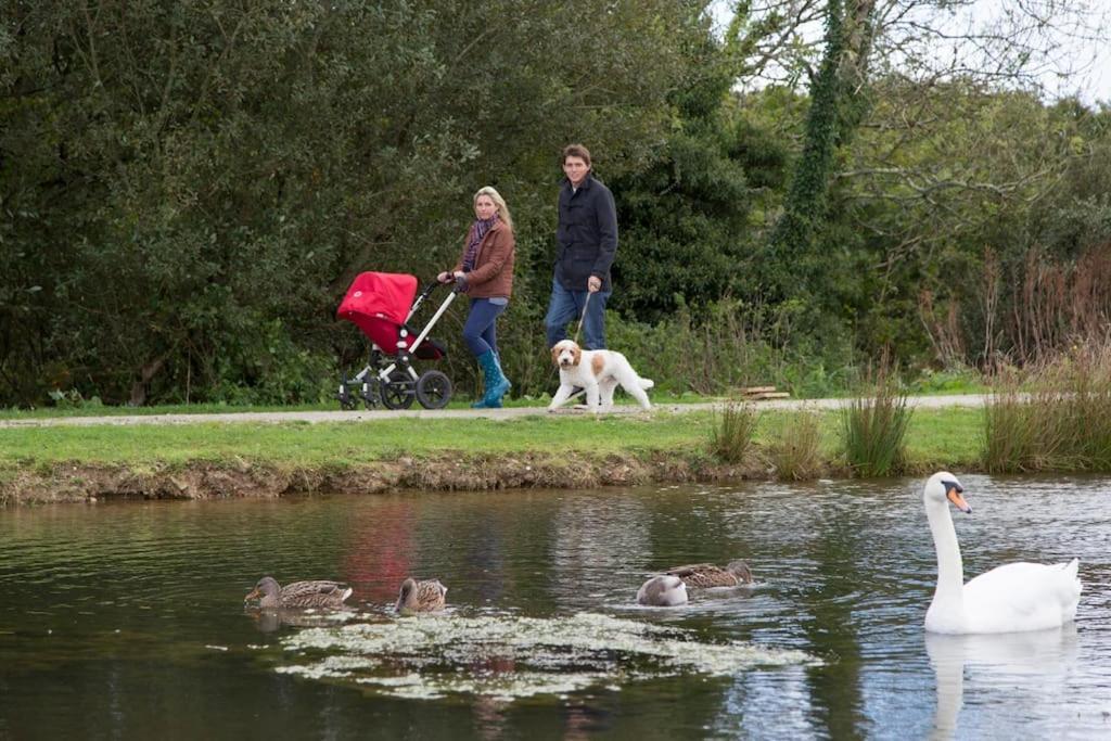 Skylark Sleeps 8 Private Hot Tub & Dogs Welcome Nr Padstow, Resort Pool Bar & Watersports St Columb Major Luaran gambar
